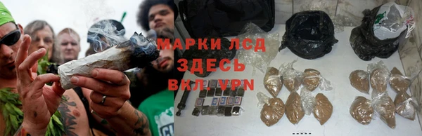 СК Аркадак